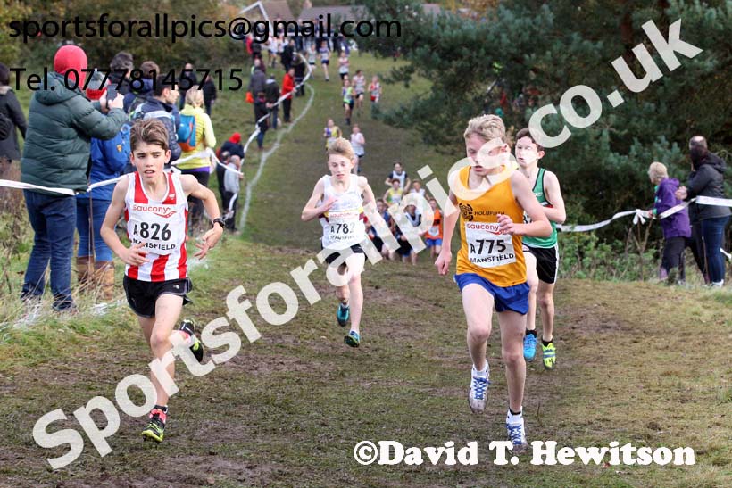 Boys under-13s National Cross Country Relay, Berry Hill Park, Mansfield. Photo:  David T. Hewitson/Sports for All Pics